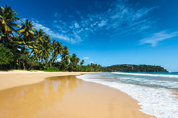 Goa is Famous for Tourism