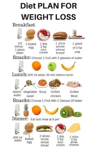 diet plan for weight loss